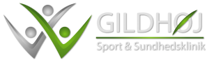 nyt-logo-gildsport-1
